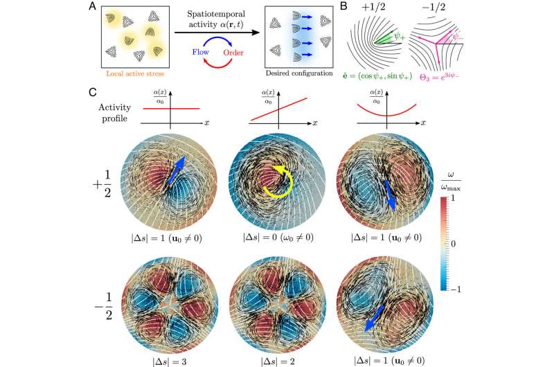 Topological Tweezers: Controlling Active Fluids with Precision