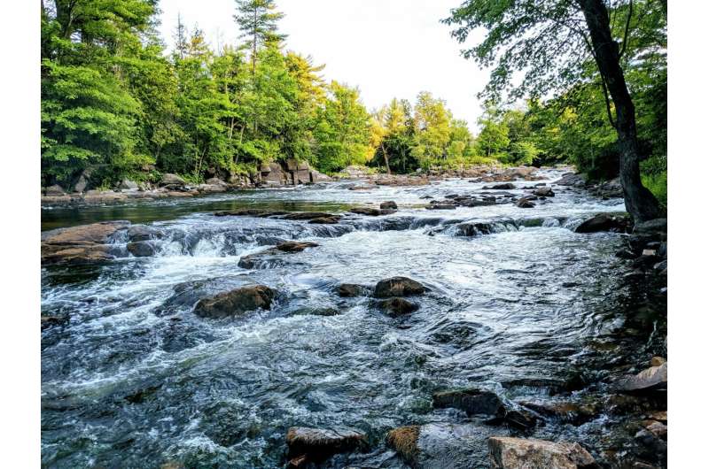 Accelerated Decomposition in Waterways Linked to Increased Greenhouse Gases and Biodiversity Loss