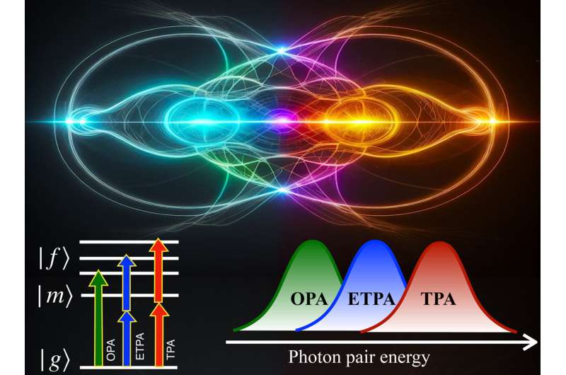 Entangled Photon Microscopy for Studying Molecular Systems