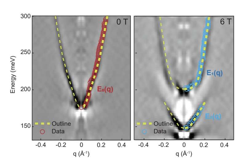 Spin Berry Curvature Effect in Kagome Metals: A Novel Orbital Zeeman Observation