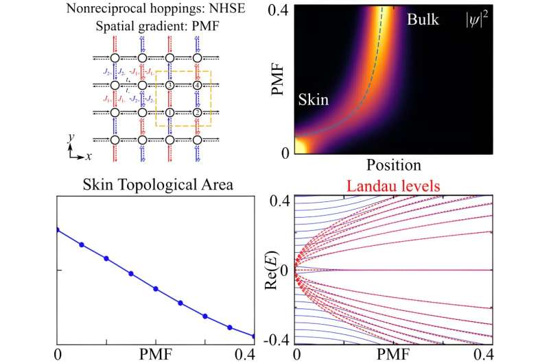 Suppressing Non-Hermitian Effects with Artificial Magnetic Fields