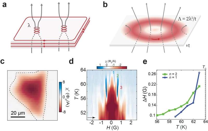 Scanning SQUID Microscopy for Magnetic Response Studies in Bi2212 Superconductors