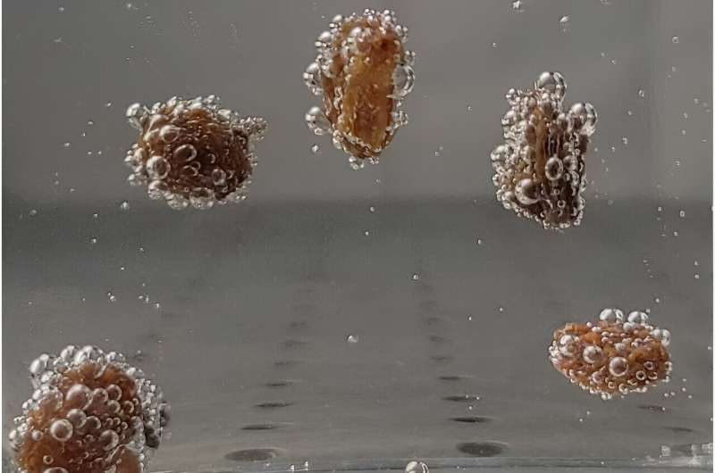 Dancing Raisins: A Simple Science Experiment on Buoyancy and Energy