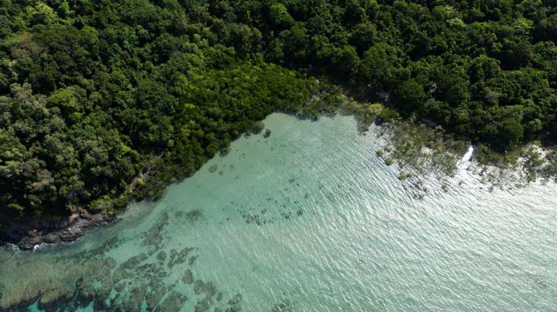 Framework for Cultural License in the Blue Economy: An Indigenous-Led Approach