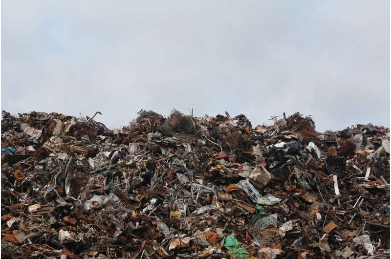 Los Angeles  Waste Reduction Plan: Progress and Challenges