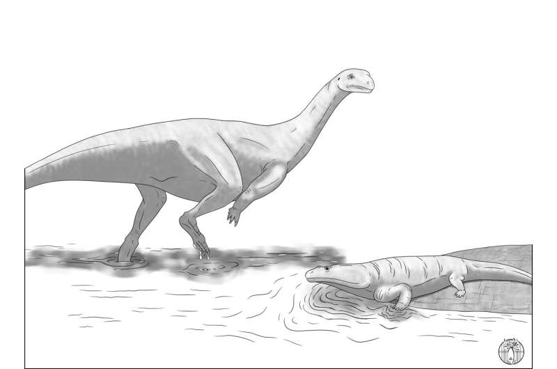 New Dinosaur Species Discovered in Zimbabwe: *Musankwa sanyatiensis*