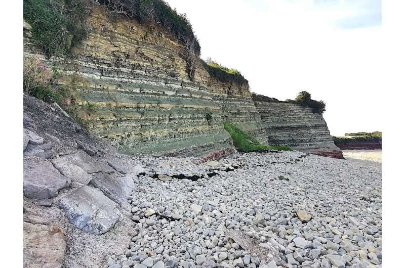 Welsh Dragon Origins: Major Fossil Discovery Reveals Ancient History