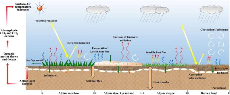 Tibetan Permafrost: Climate Impacts and Alpine Grassland Dynamics - Research Insights