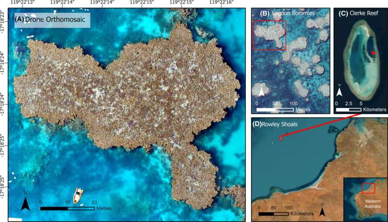 Drone Imagery Reveals Insights into Vulnerable Coral Reefs