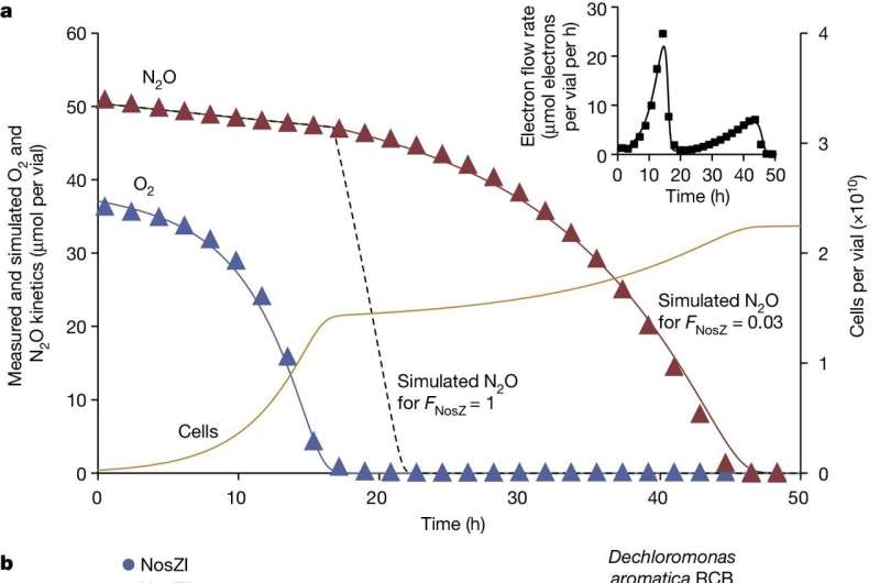 Soil Bacteria Show Promise in Reducing Agricultural Greenhouse Gas Emissions