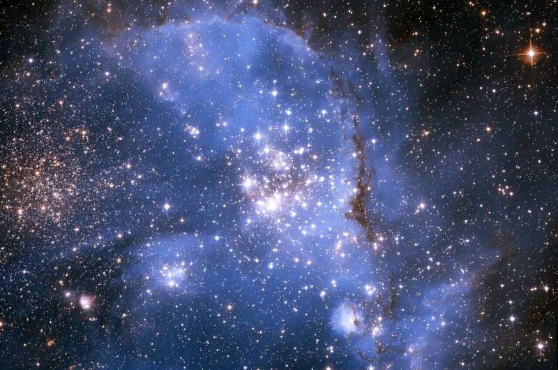 Magnetic Fields Detected in Massive Stars Beyond Our Galaxy