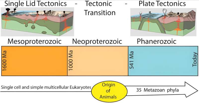 Plate Tectonics and the Evolution of Multicellular Life: A New Study