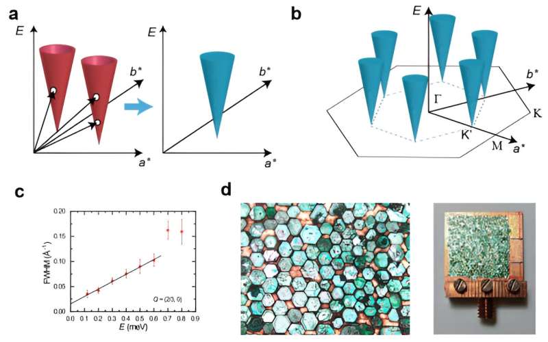 Dirac Spinons in Kagome Lattice Antiferromagnets: Spectral Evidence