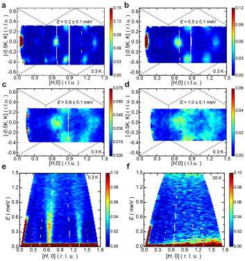 Dirac Spinons in Kagome Lattice Antiferromagnets: Spectral Evidence
