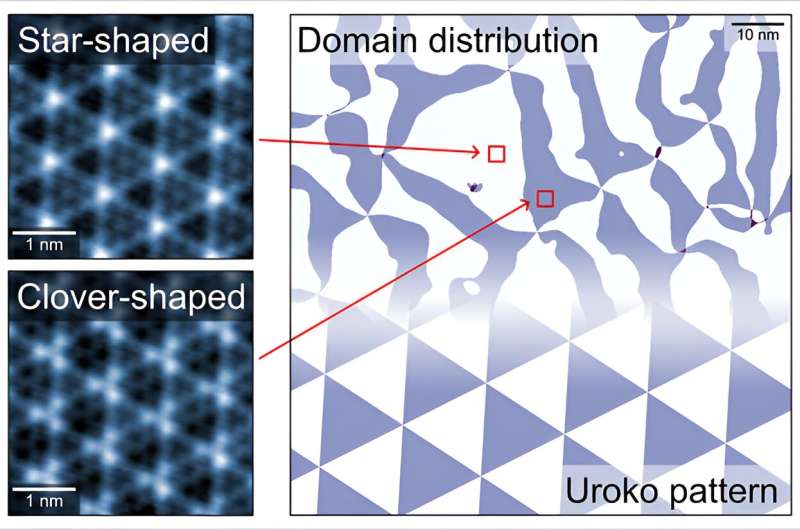 Novel CDW Domain Structures in NbSe2: A Urokomon-like Pattern