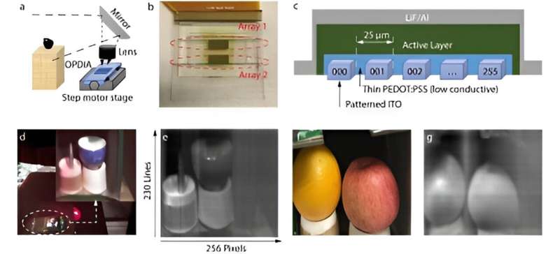 Organic Infrared Photodetectors: Advancing Imaging Technology