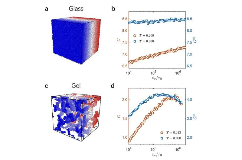 Understanding Elasticity: New Insights into Glasses and Gels
