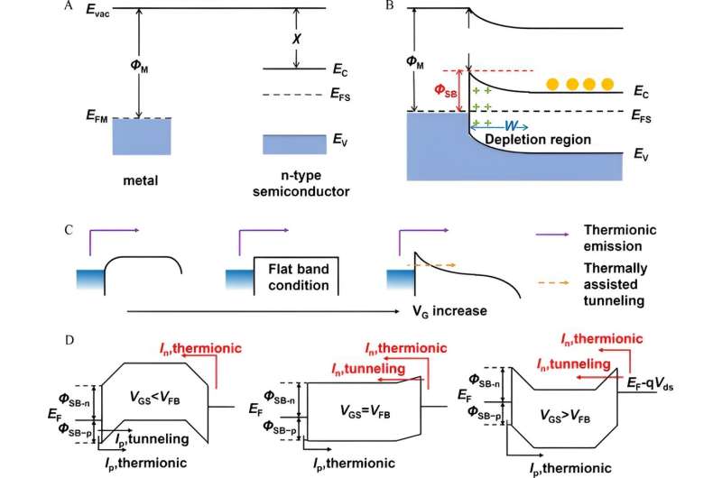 Van der Waals Schottky Junctions: Fundamentals & Applications in Photodetectors