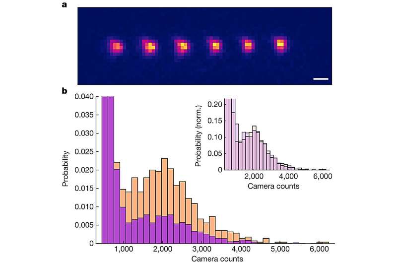Novel Optical Tweezers Array Manipulates Individual Polyatomic Molecules