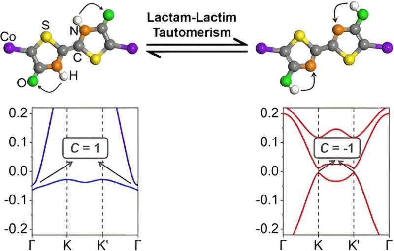Topological Phase Transitions in Organometallic Lattices via Lactam-Lactim Tautomerization