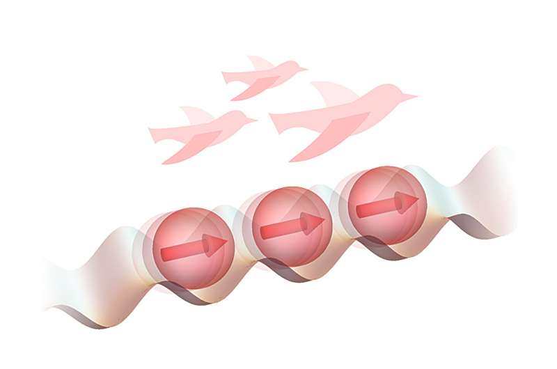 Quantum Order Formation: New Mechanism Discovered by University of Tokyo Researchers