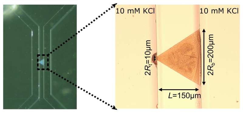 Water-Based Artificial Synapse: A Breakthrough in Brain-Inspired Computing