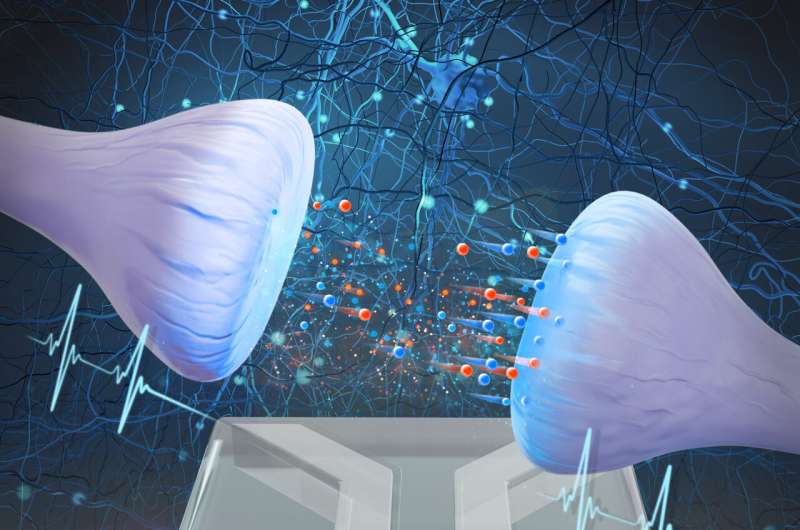 Water-Based Artificial Synapse: A Breakthrough in Brain-Inspired Computing