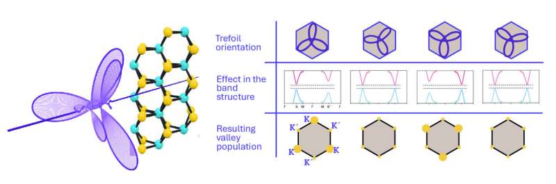 Controlling Polarization with Light: A New Technique for Bulk Materials