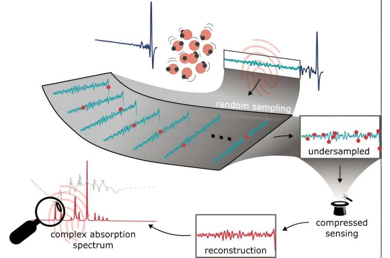 Compressed Sensing of Molecular Fingerprints with Ultrafast Pulses