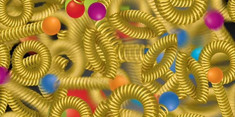 Future Electron-Ion Collider to Probe Gluon Saturation in Nuclei