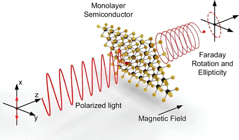 2D Materials Demonstrate Efficient Visible Light Polarization Rotation