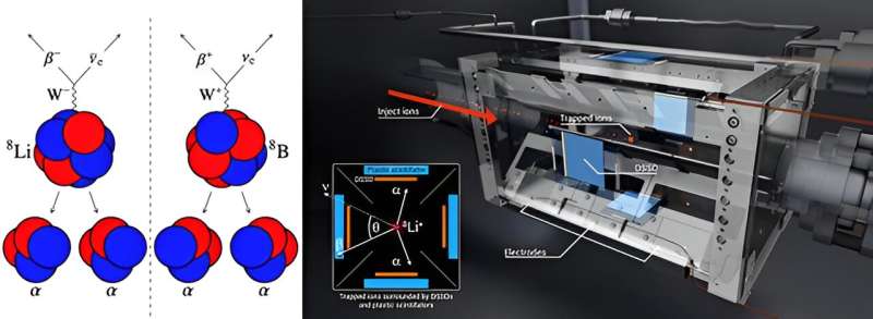 Mirror Nuclei Beta Decay Reveals Insights into the Weak Force