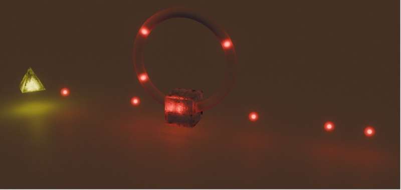 Quantum Light Processing Advances Optical Quantum Computing