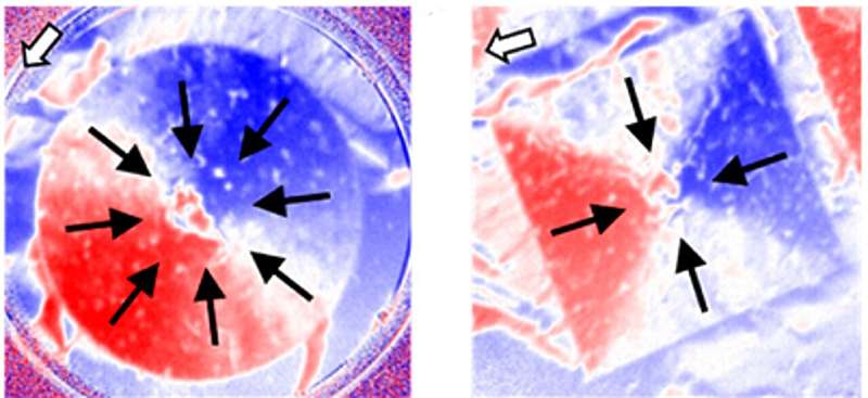 Spintronics: Exploring Room Temperature Spin Textures in Novel Materials