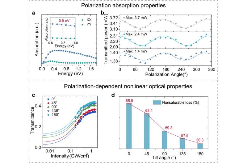 Ultrafast Laser Control with Anisotropic Quasi-1D Materials: A Theoretical Study