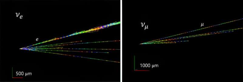 FASER Collaboration Measures High-Energy Neutrino Interaction Strength at LHC