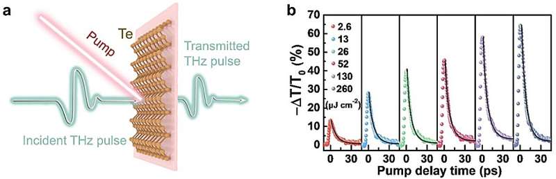 Terahertz Modulators: High-Performance Devices Using Te-Based Heterojunctions