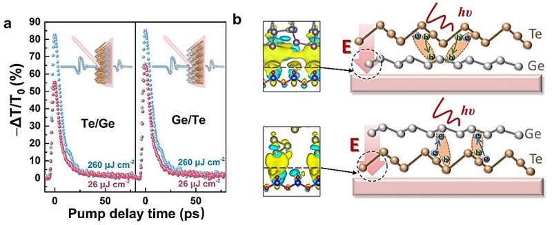 Terahertz Modulators: High-Performance Devices Using Te-Based Heterojunctions