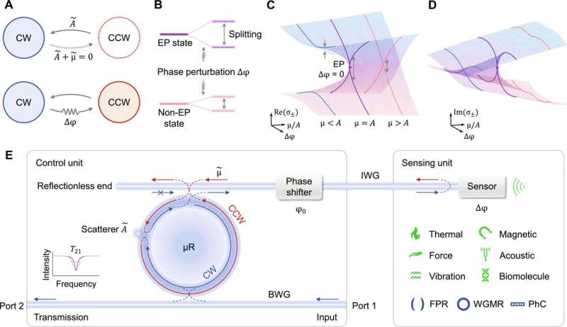 EP-Enhanced Phase Sensing Platform: Achieving Ultra-High Sensitivity in Optical Sensors