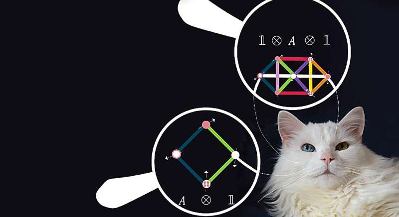 Quantum Materials Prediction: Theory as a Roadmap for Discovery