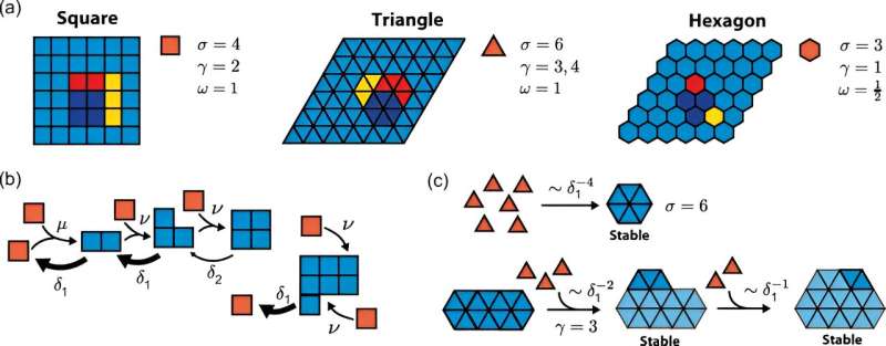 Hexagonal Building Blocks Enhance Self-Assembly of Complex Systems