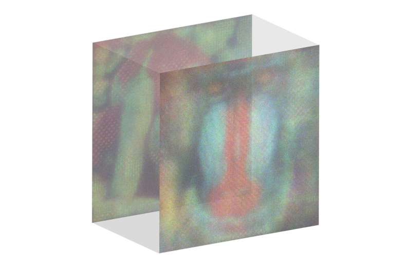 Smartphone-Based Holographic Displays: A New Era of 3D Imaging