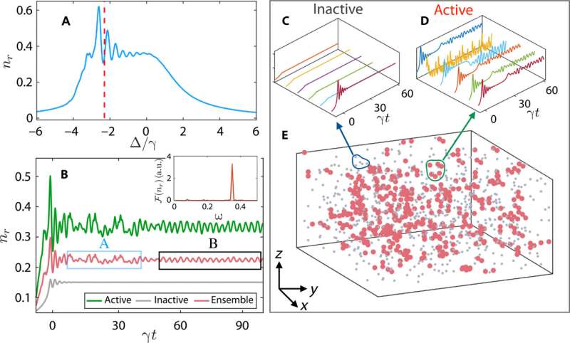 Rydberg Gas Dynamics: Transitioning from Ergodic to Ergodic-Breaking Behavior