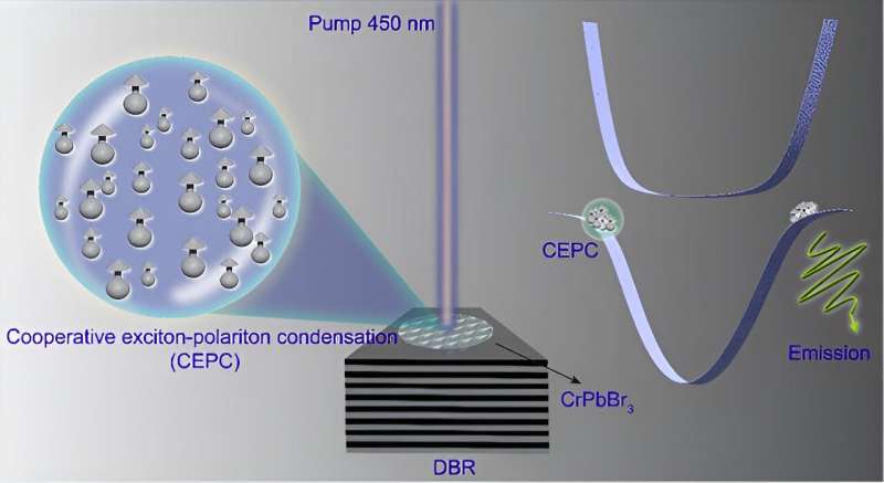 Exciton-Polariton Condensate Realized in Lead Halide Quantum Dots