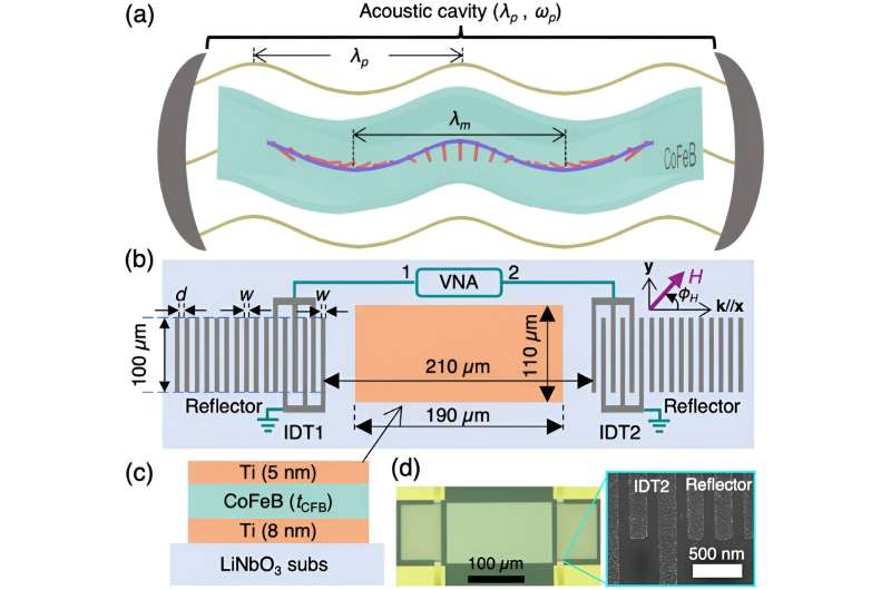 Room-Temperature Coupling of Magnons and Phonons with Shear Sound Waves