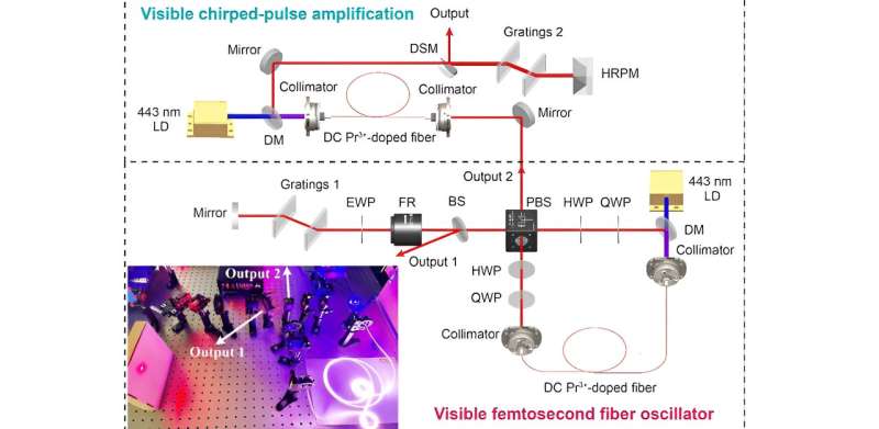 Femtosecond Fiber Oscillators: Advancing Laser Science and Applications