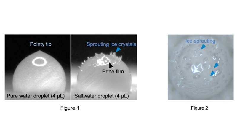 Molecular Freezing of Saltwater Droplets: New Insights for De-icing