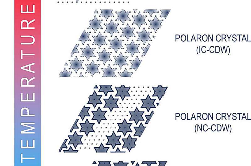Discovery of Novel Electronic State in Tantalum Disulfide (TaS2)