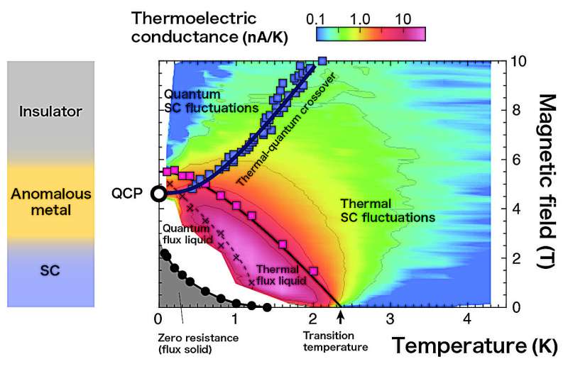 Quantum Critical Point Discovered in 2D Superconductors: Unveiling Fluctuations