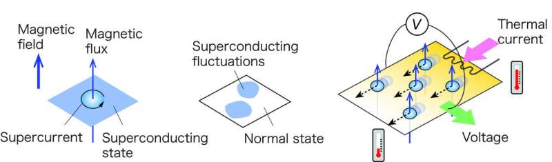 Quantum Critical Point Discovered in 2D Superconductors: Unveiling Fluctuations